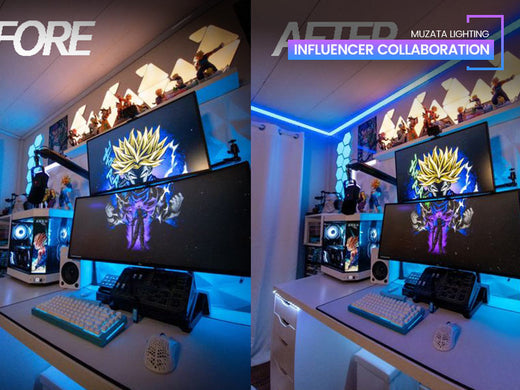 How Gaming Influencers Can Take Your Gaming Setup to the Next Level with V101 LED Channels